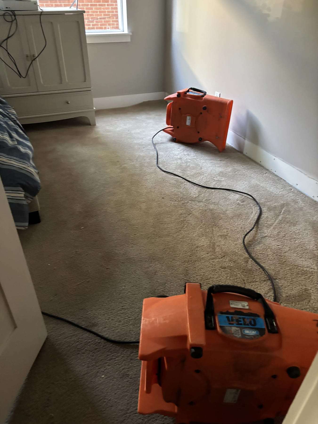 Air movers drying carpet in a bedroom
